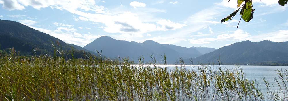 See mit Schilfgürtel und Berge im Hintergrund