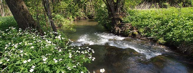 Westernach, Unterallgäu